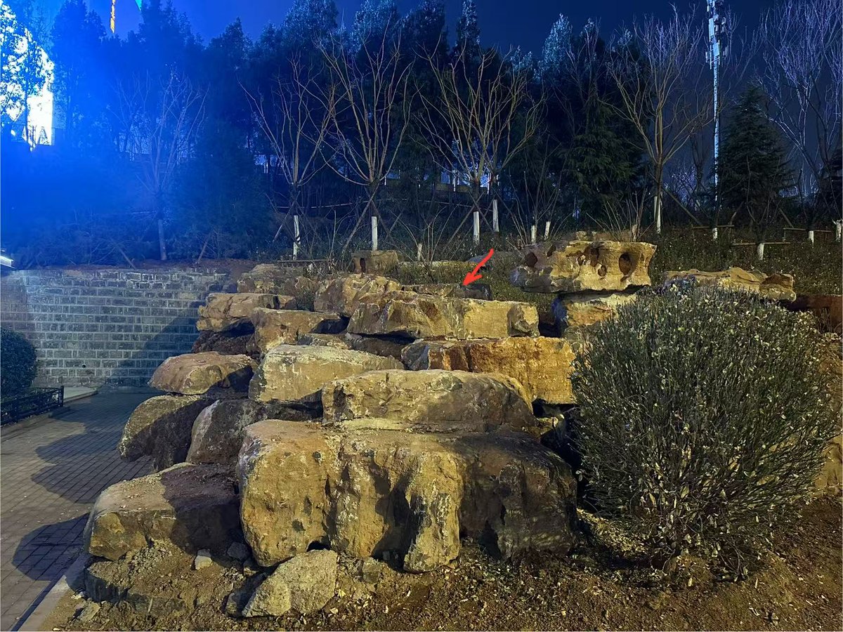 ZousAdingo tweet media