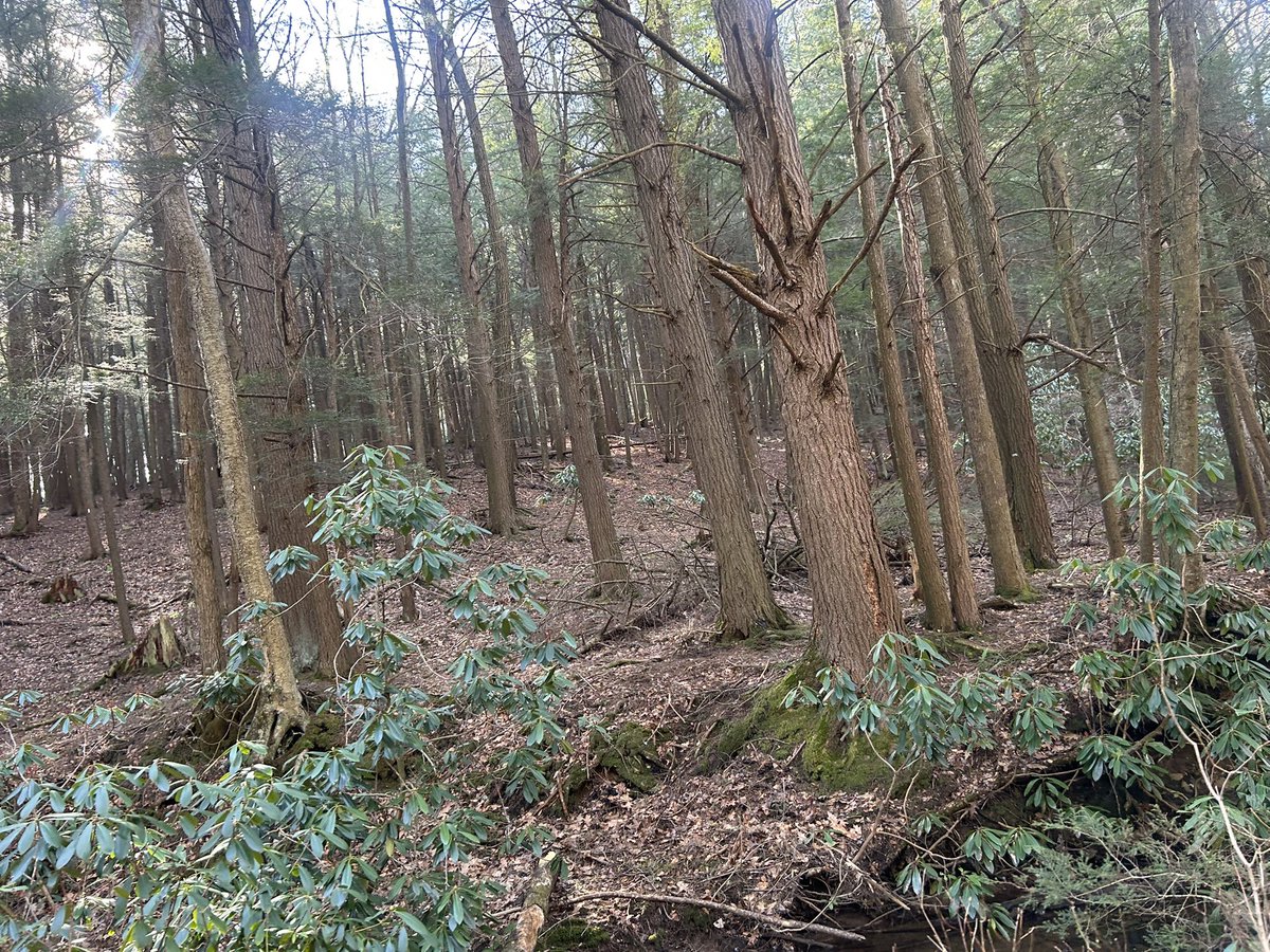 MiSsBoSsLaDy tweet media