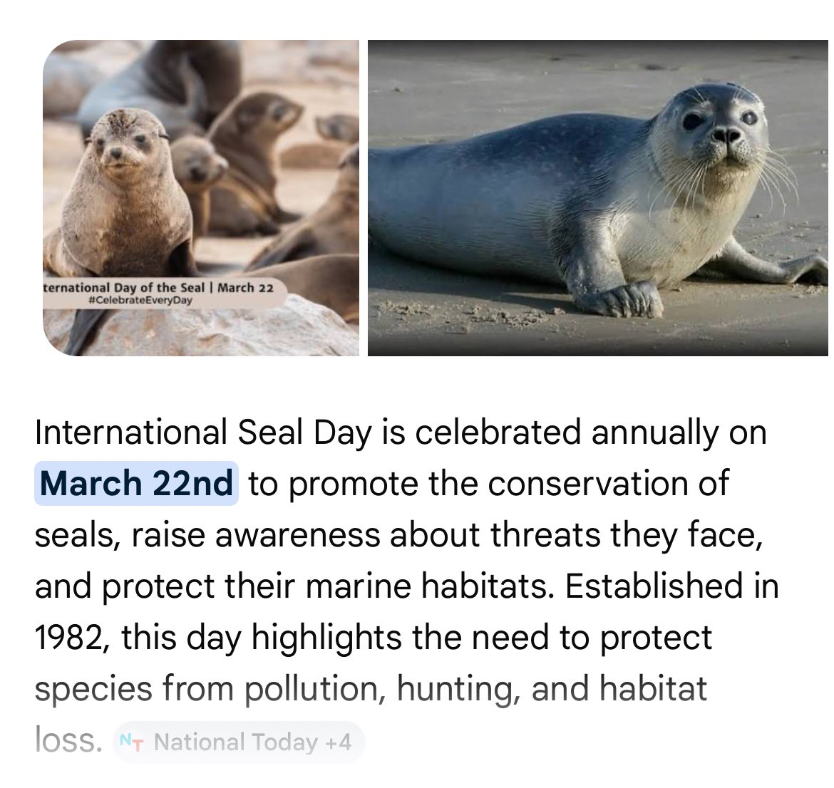 AADM 🚶♂️ tweet media