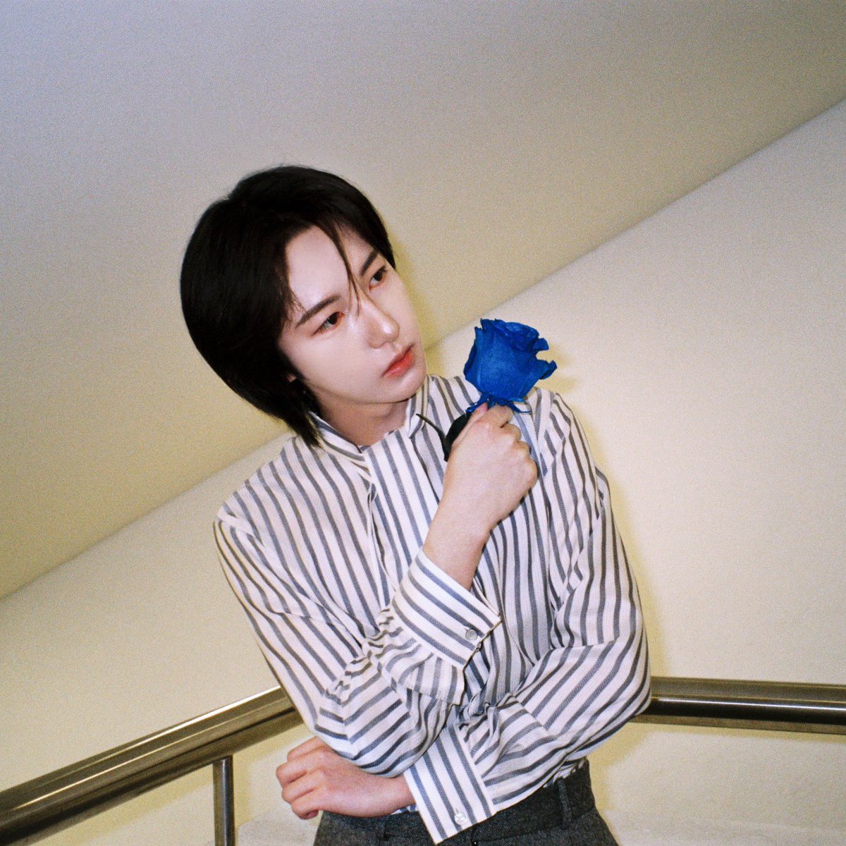 ไป๋ไป๋🌟 tweet media