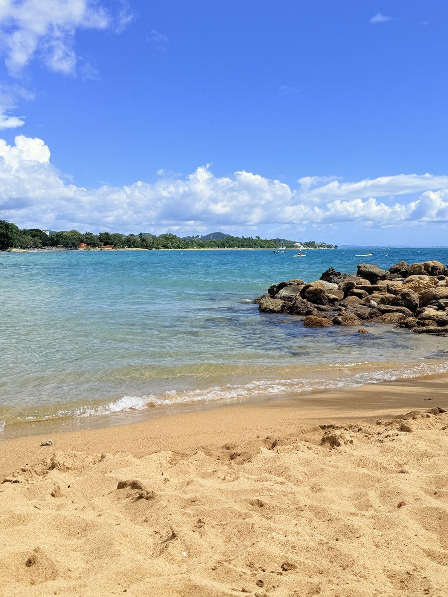 walker_sherri's tweet photo. Spring break Puerto Rico 2026 ❤️🇵🇷💙 simply beautiful. https://t.co/0tqKh1IGrp