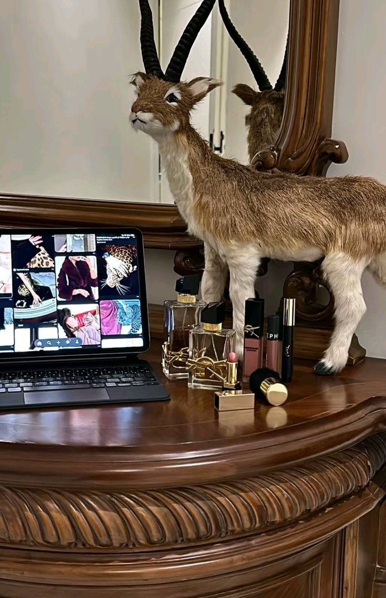 ‏᷂تولين ‏᷂الروقي tweet media