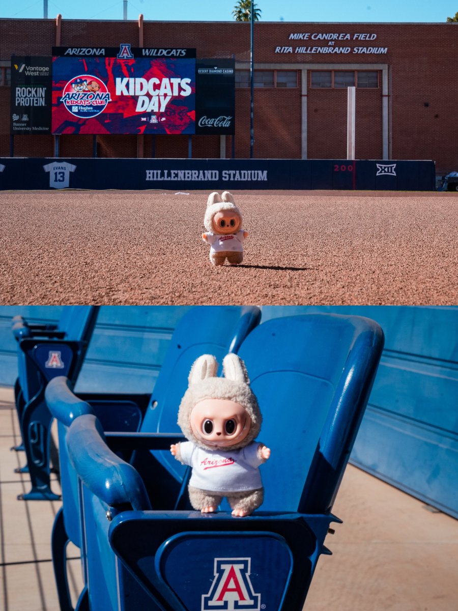 Arizona Softball tweet media