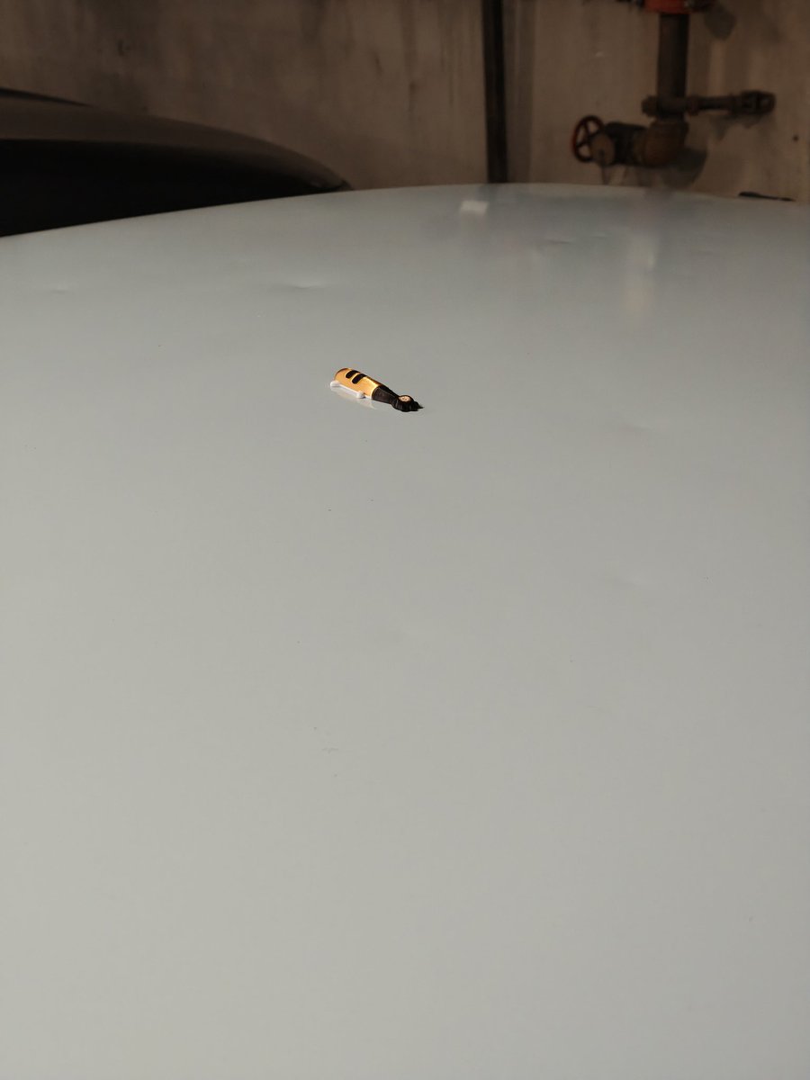 Minto Pinto tweet media