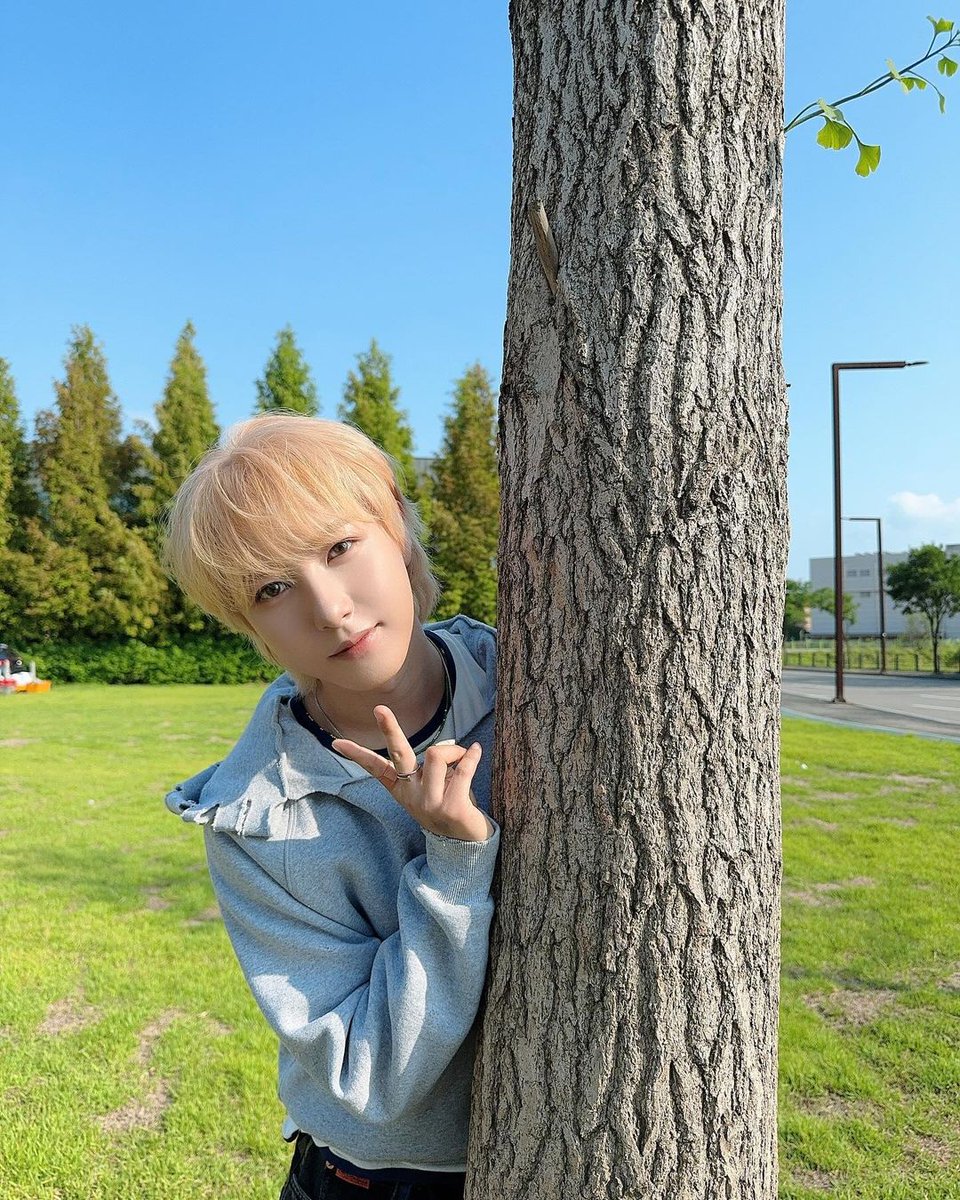 yaa (ᓀ‸ᓂ) tweet media