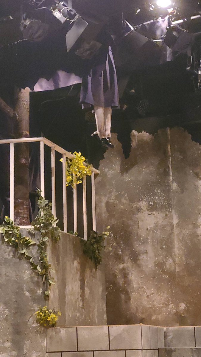 イトウシンタロウ tweet media