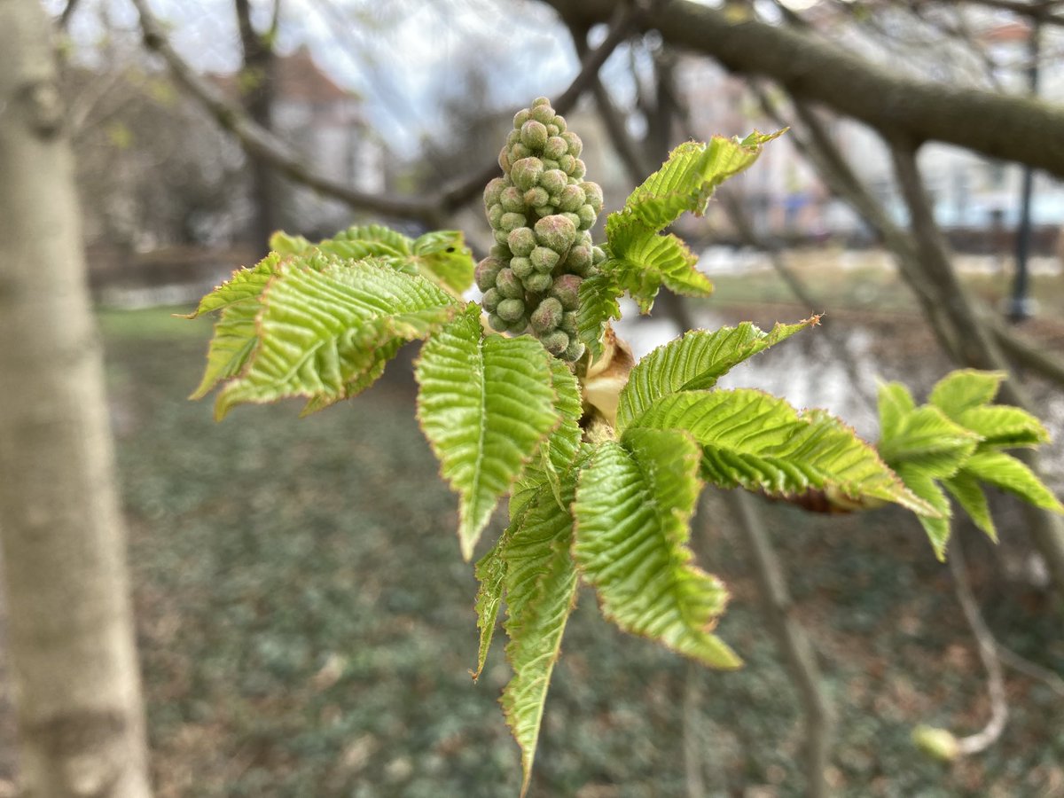 ks. Marek Lis ن tweet media