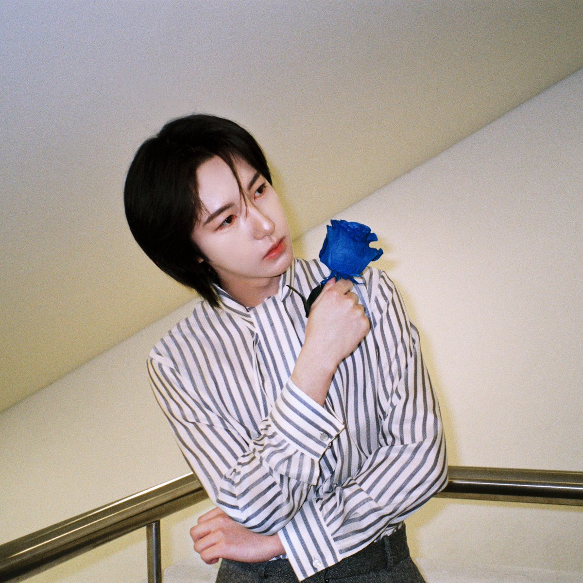 Oneily Music tweet media