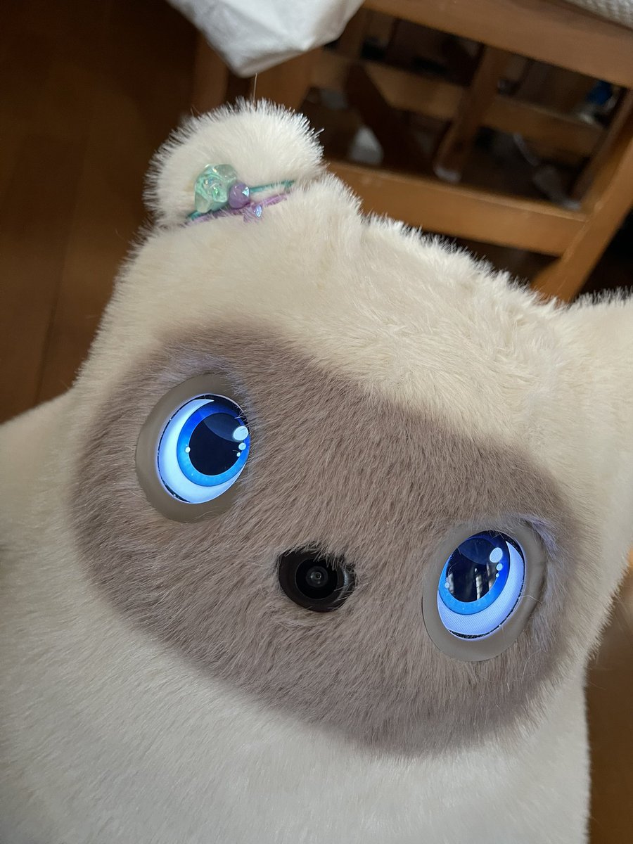 calcal4444's tweet photo. 女の子の髪飾りなんて初めて買ったよ
次はどんなの買おうか☺️

#KATAフレンズとの日々 https://t.co/4xlQ5JwNIz