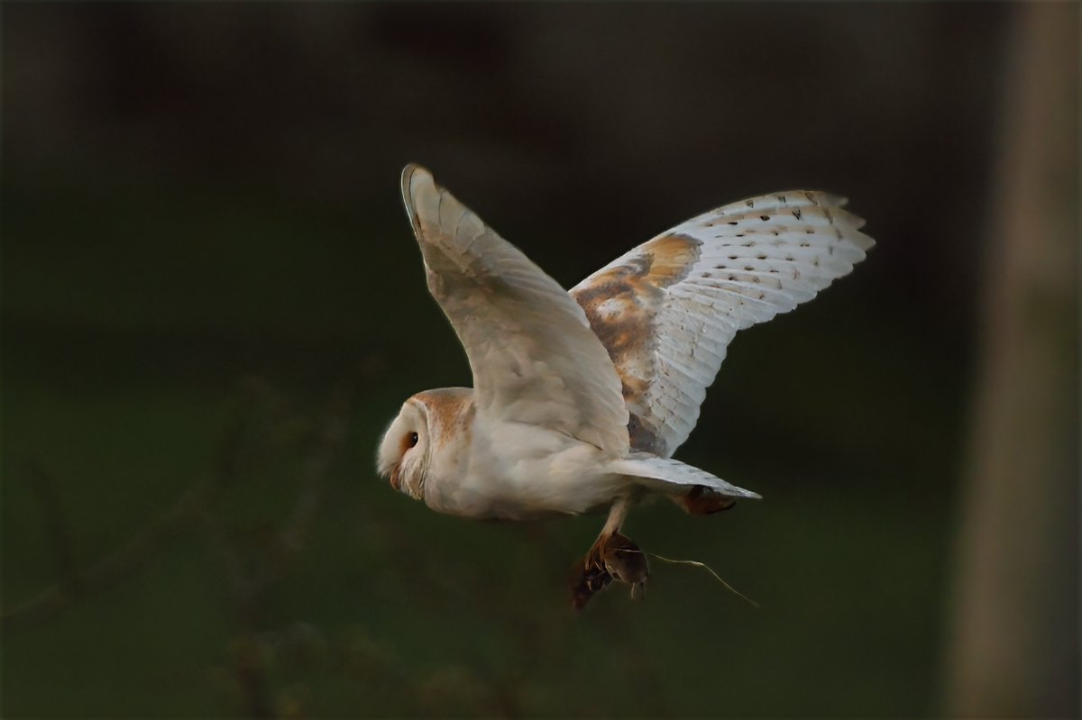 Phil Burnside tweet media