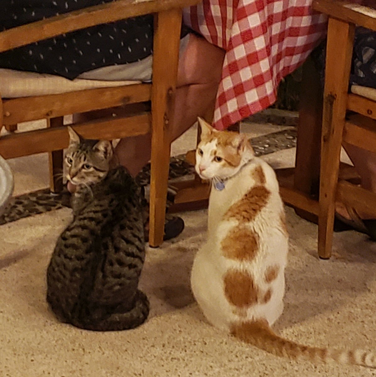 Andrija “Andy” Popovic - filmed by John Alton tweet media