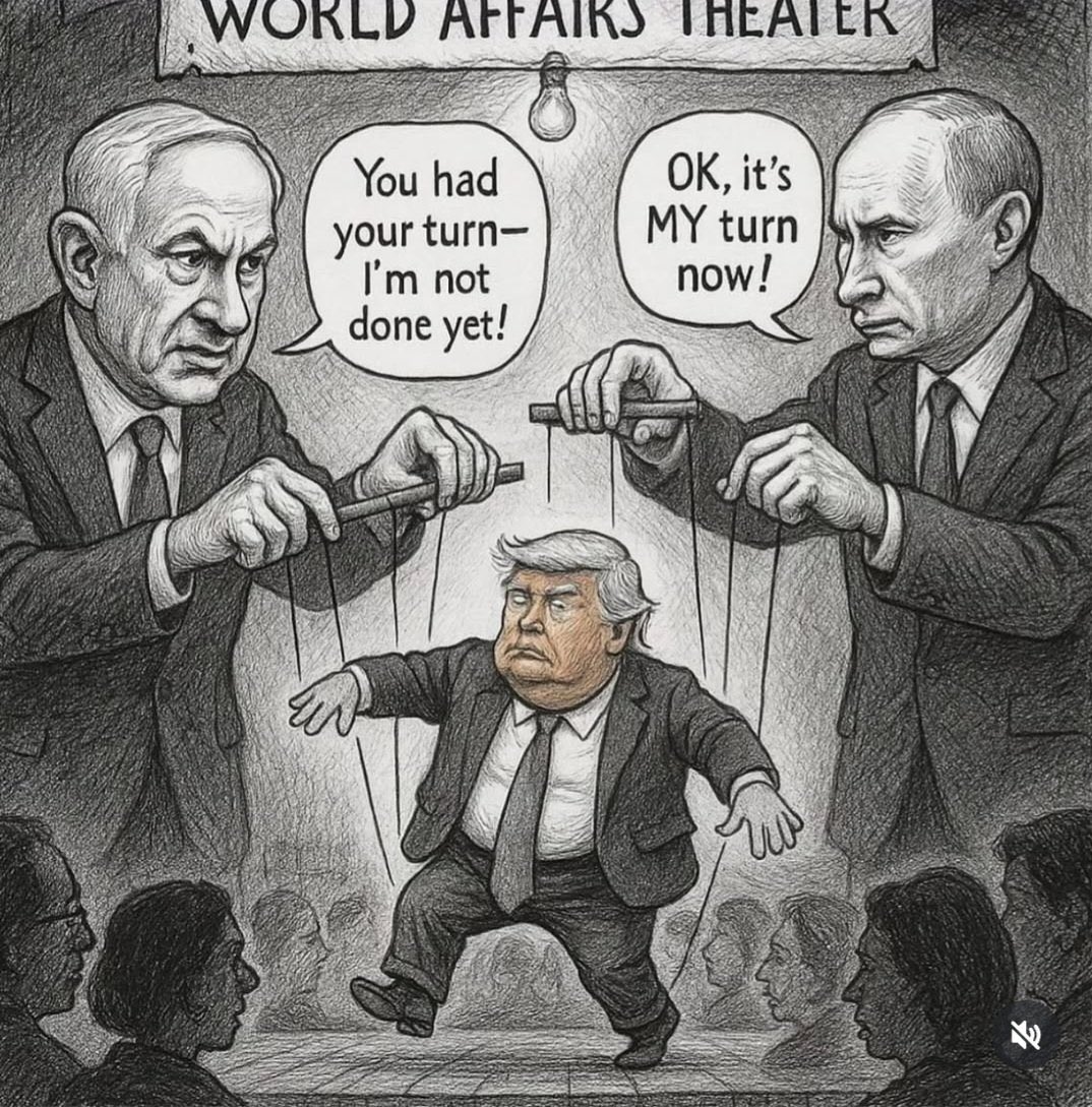 🏴☠️💀🏴☠️ tweet media