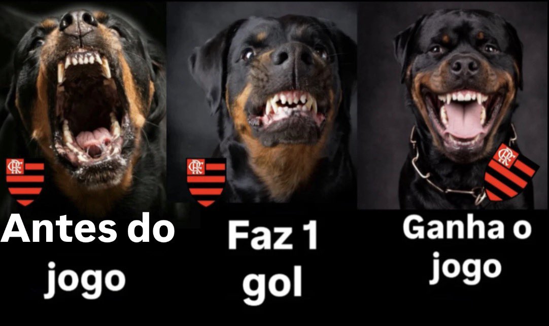 FLATRIOCTA10's tweet photo. As 3 fases dos rubro negros: https://t.co/XQGqmmtKVu