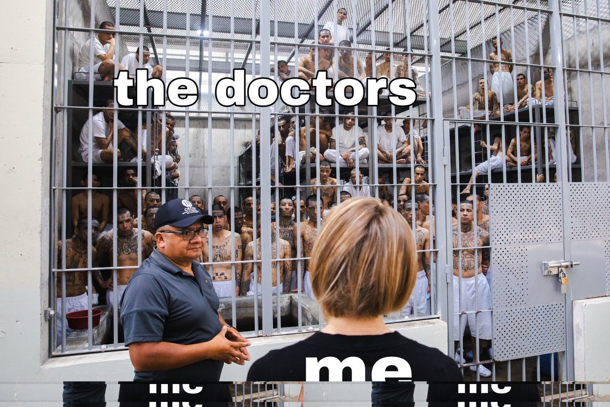 Ivan Pavlovic tweet media