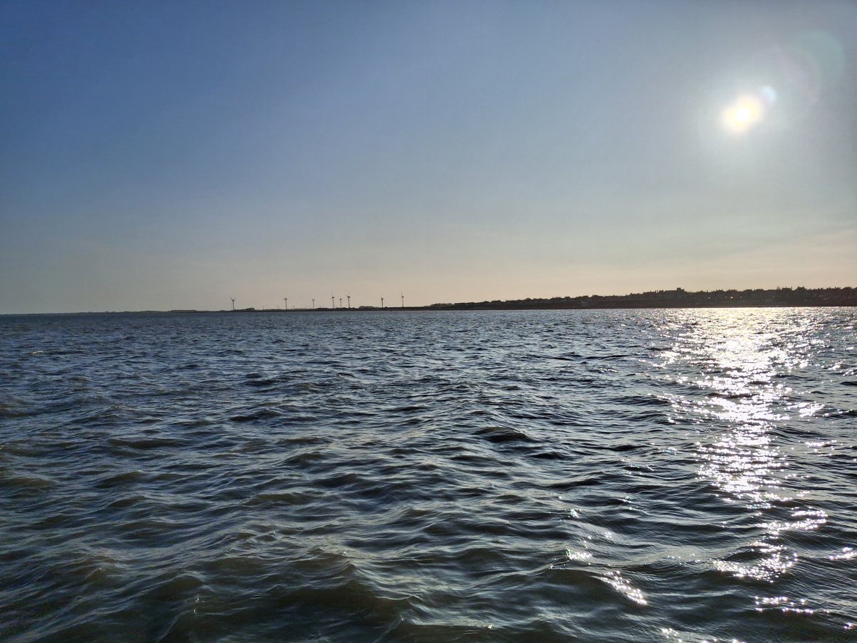 Blackburn Firebrand official fanpage tweet media