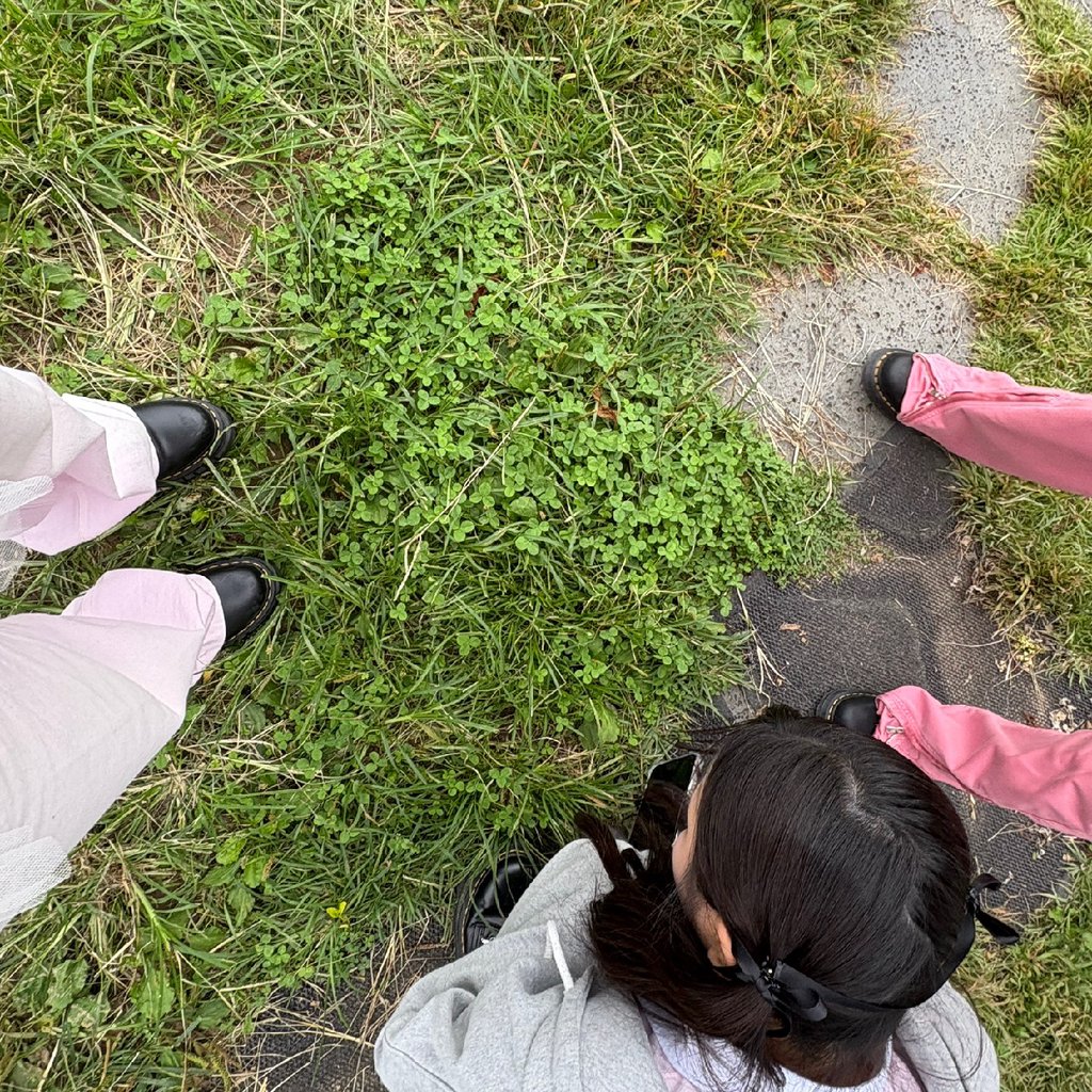 행운 찾는 유스피어 진짜 너무 귀여움 🍀