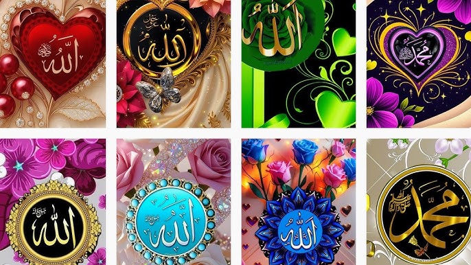 Halima Hm tweet media