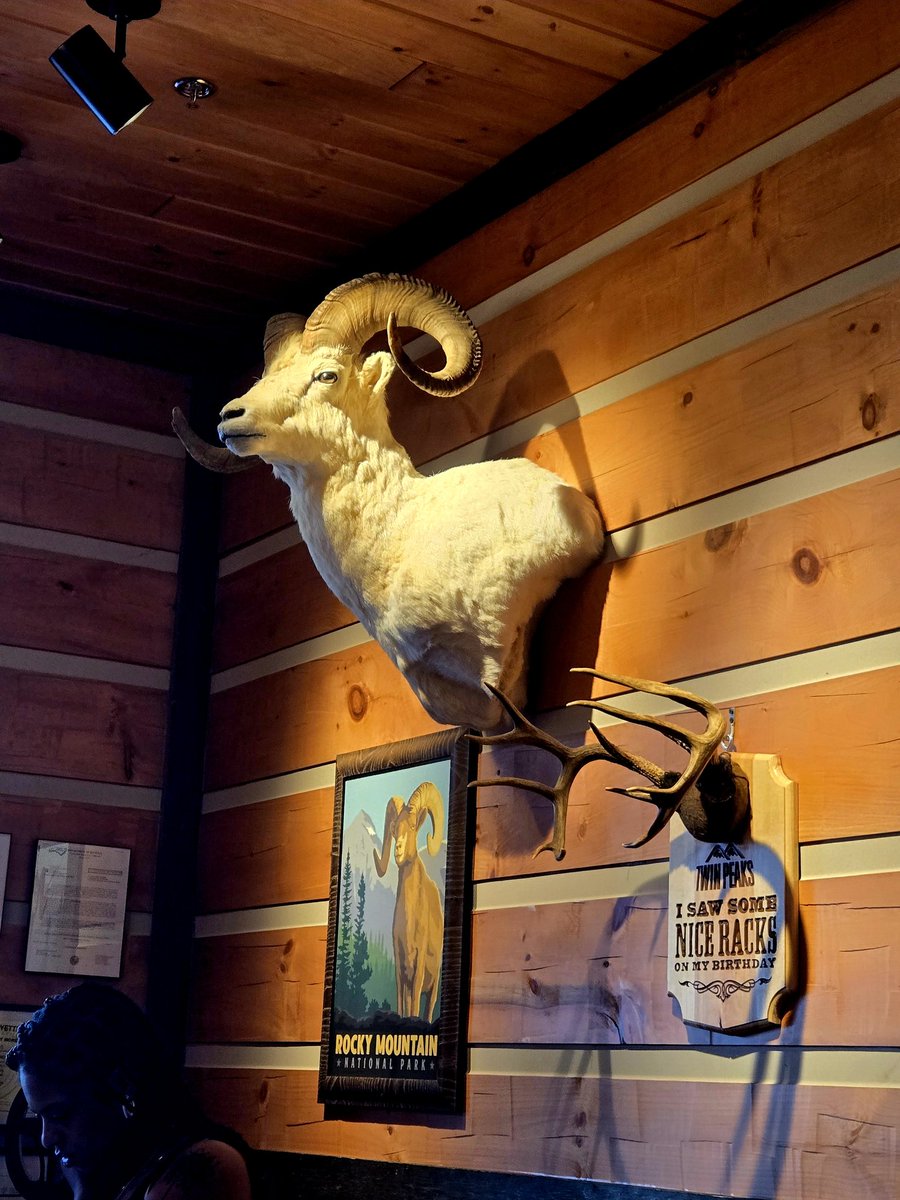 Ms Virginia tweet media