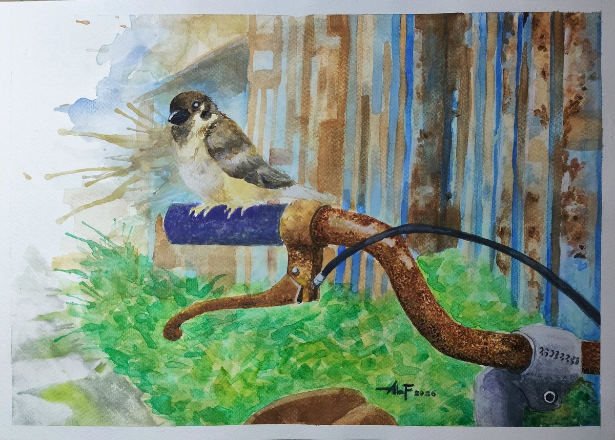 Be_Illustrated's tweet photo. Forget me not

Watercolor on paper. 2026

#watercolor #watercolorpainting https://t.co/MURFwktfgE