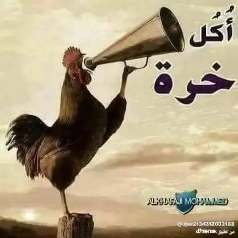 FG15860780's tweet photo. @yassenmohamad22 @dafna23j كوم بيه طيz https://t.co/MQb3vHlEcy