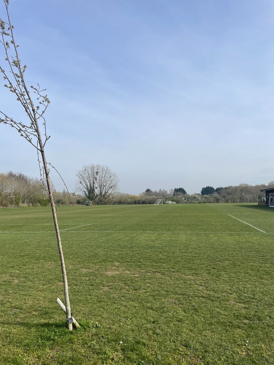 Sean lloyd - Rgs Agronomy tweet media