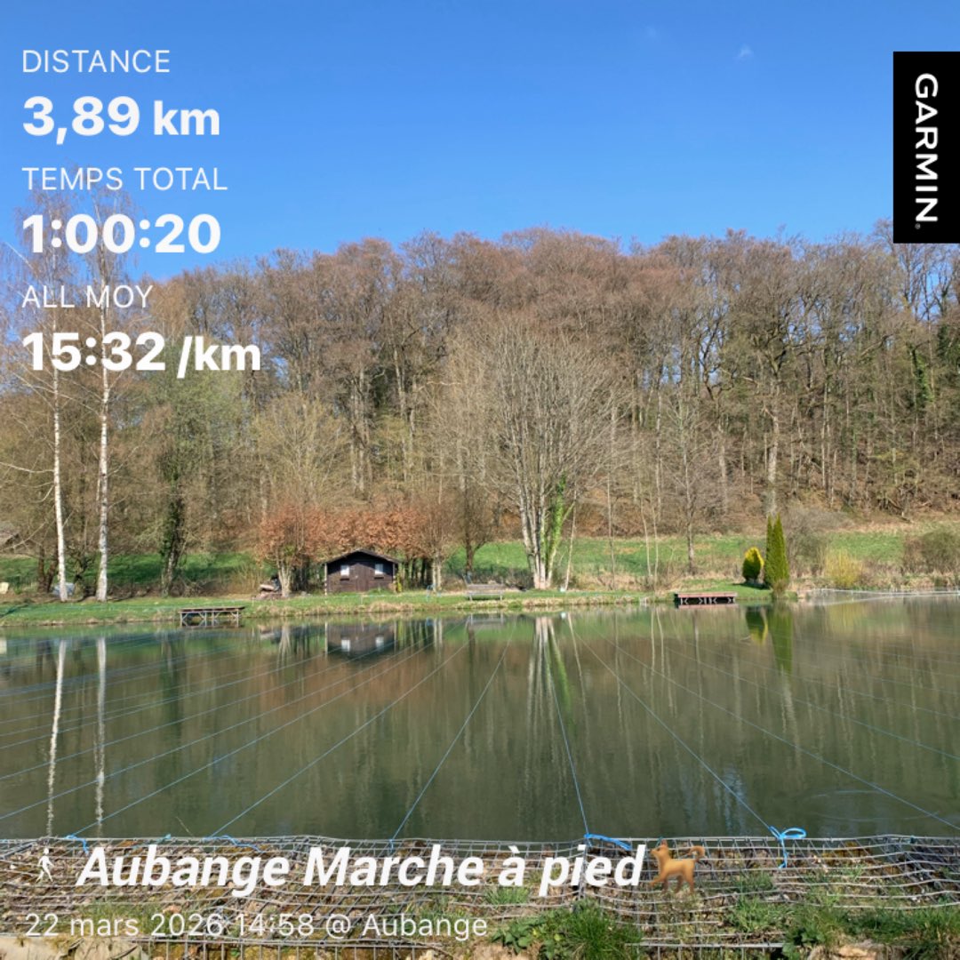 Didier FLECHE 🇧🇪🏊‍♂️🚴‍♂️🏃🏻‍♂️ tweet media