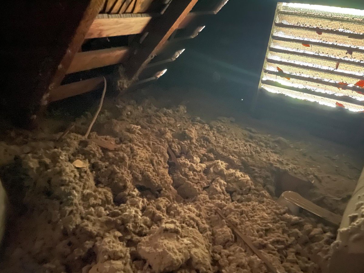 WorldcraftIndus's tweet image. Building our daughter her own attic play room. 
It’s a family affair. 
Putting decades of hands-on experience to good use. Proud of our progress and grateful to our little one for her assistance. 🏠
#FamilyProject #AtticConversion #HomeImprovement #DIY #renovation #teamwork