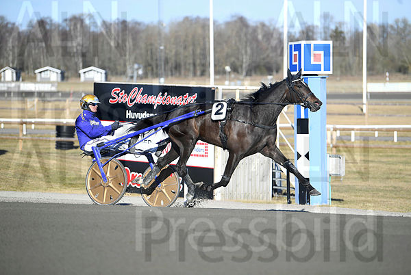 FIGHT-TILL-YOU-DIE tweet media