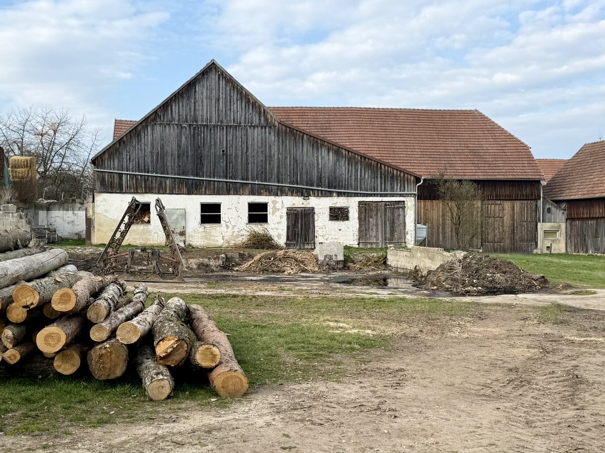 Markus Raum tweet media