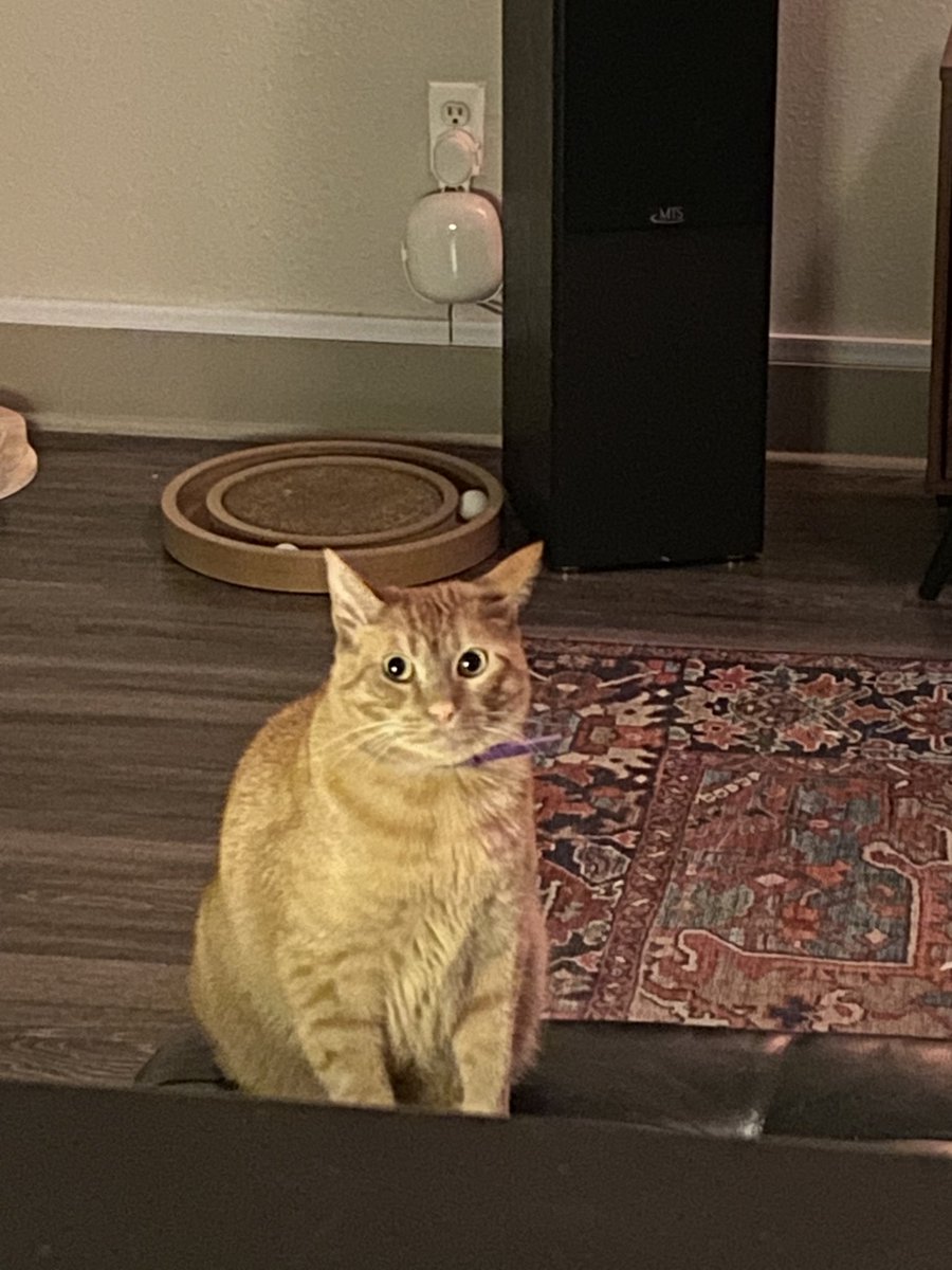 Connor O’Leary tweet media