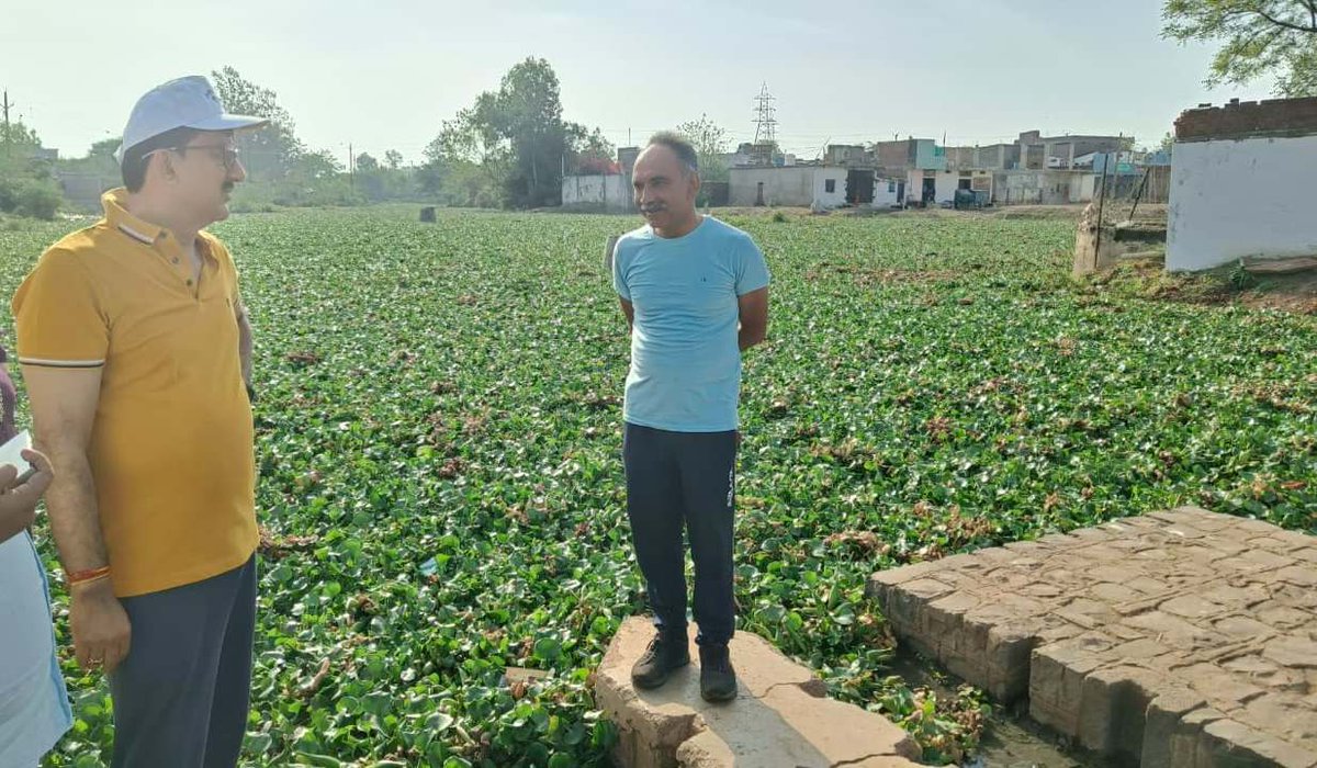 Collector Guna tweet media