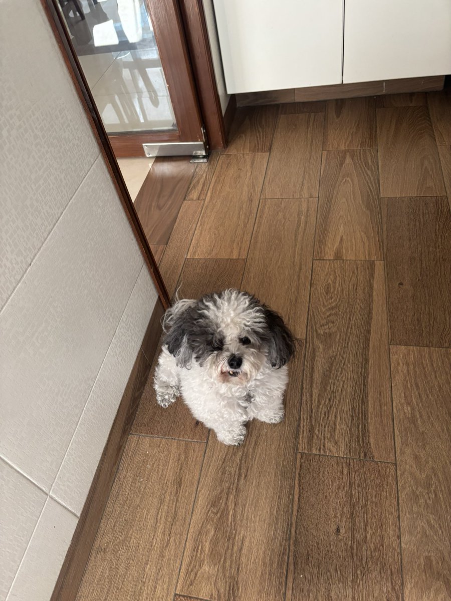 Puma Radio (Jive Bunny)  tweet media