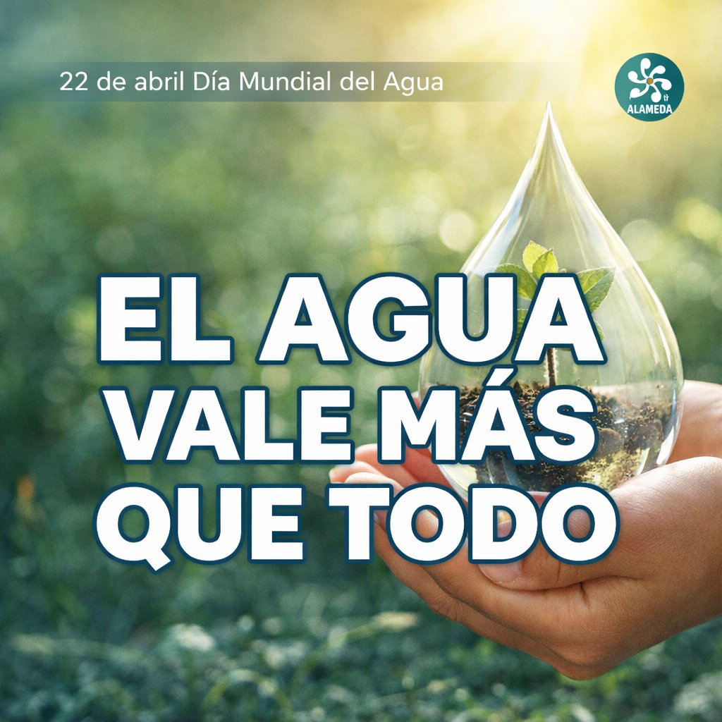 Fundación Alameda tweet media