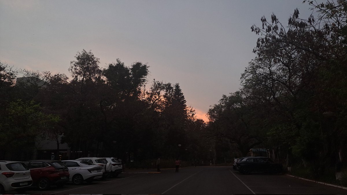 Netra Krishna tweet media