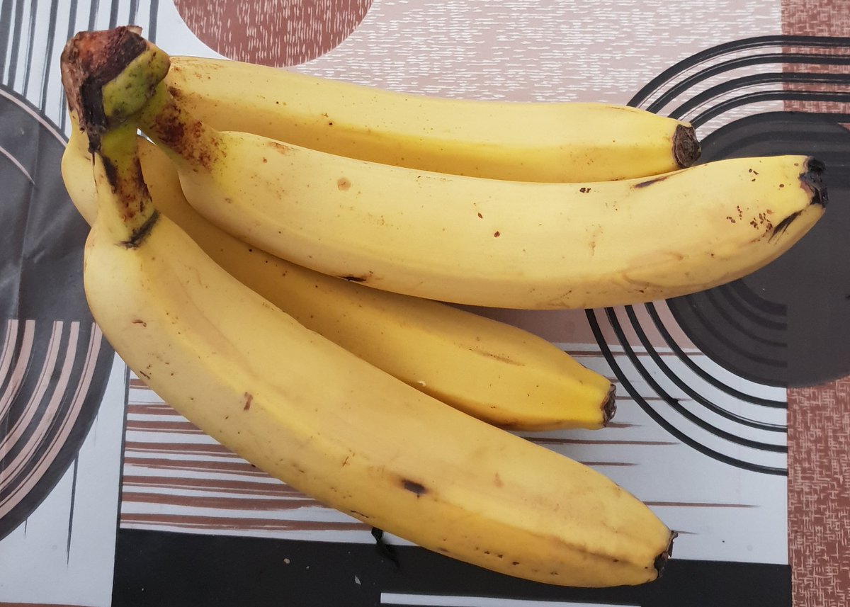 Crazy Nuggets tweet media