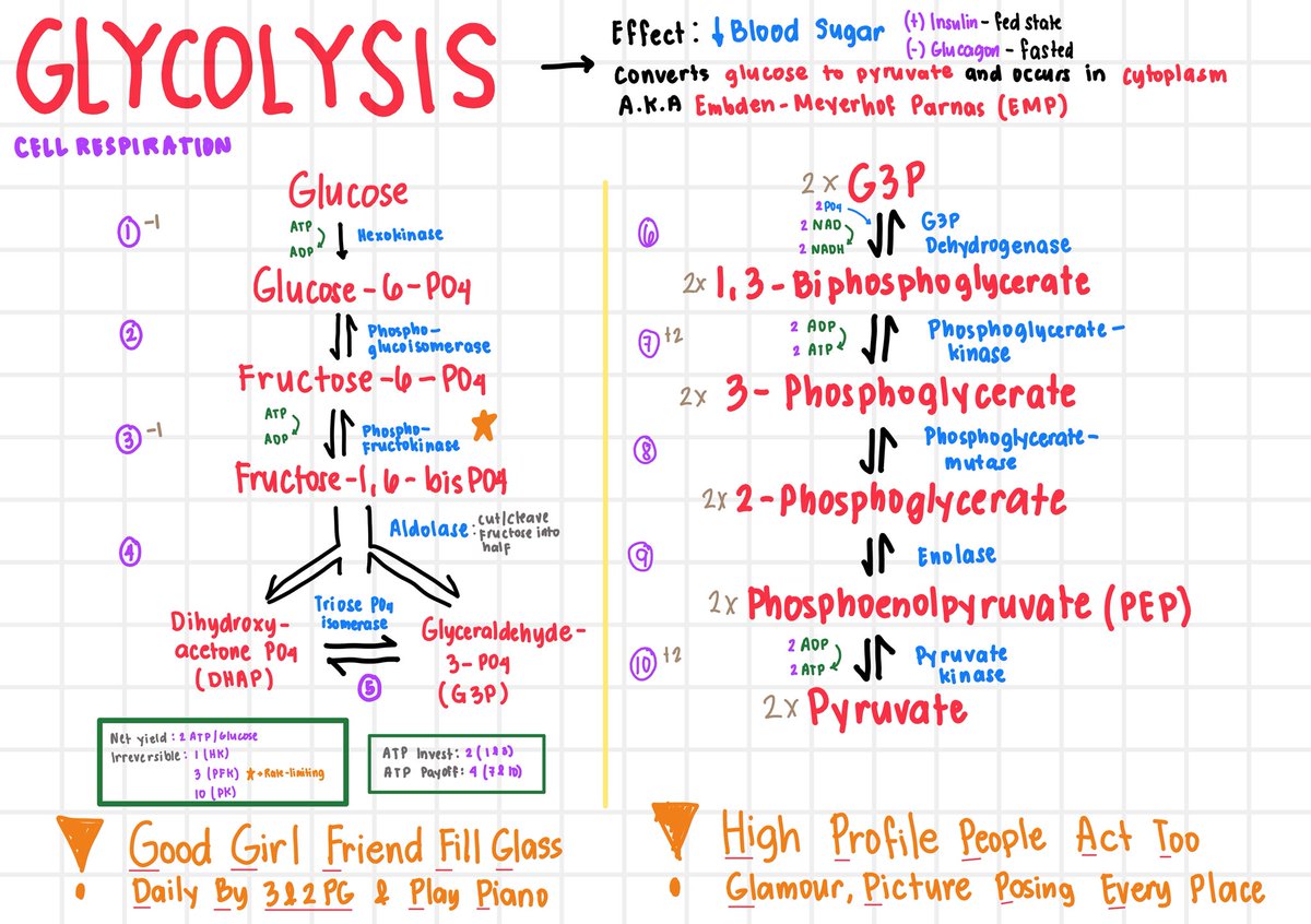 Kissaea, RPh🥹 tweet media