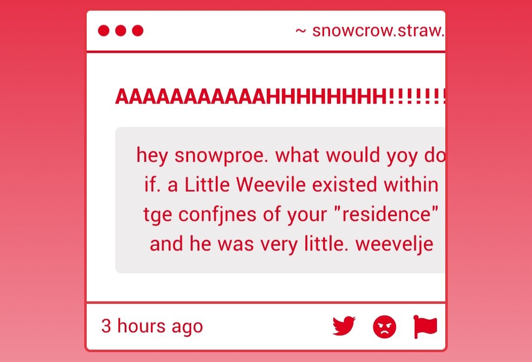 snowcrow 🪲🐜 tweet media