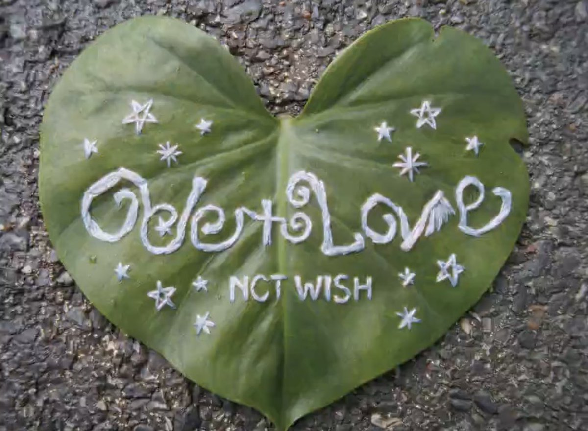 삼구..ᐢ•⚇•ᐢ tweet media