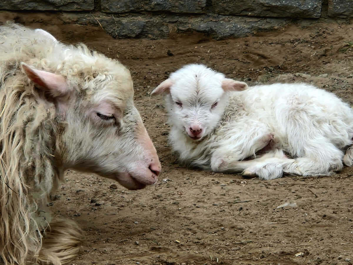 Stephan Scherneck 🇺🇦 tweet media
