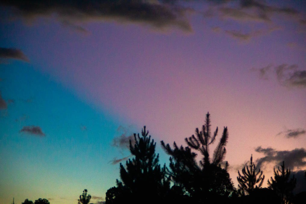 Iram Ortega 👁 tweet media