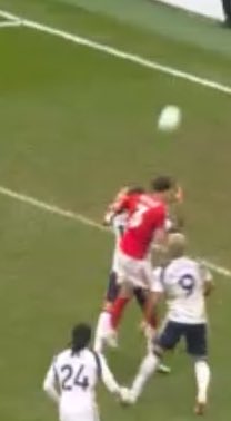 Apollo🇯🇲 tweet media