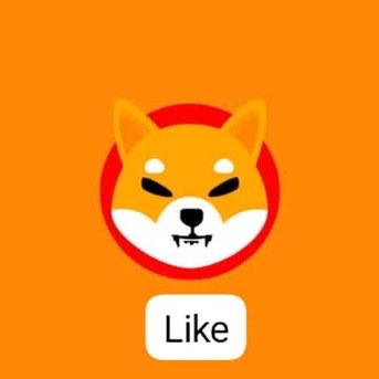 ZackFromSubway tweet media