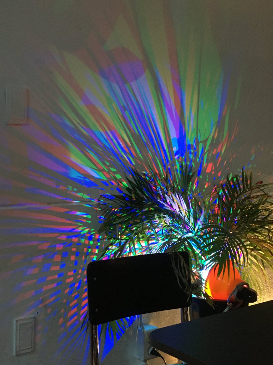 🐈‍⬛ tweet media