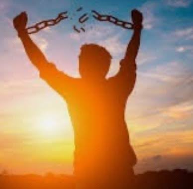 nico🦅 tweet media