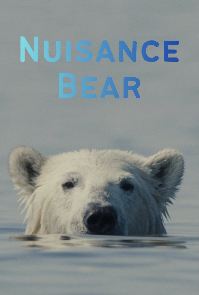 Creative Industry Insight tweet media