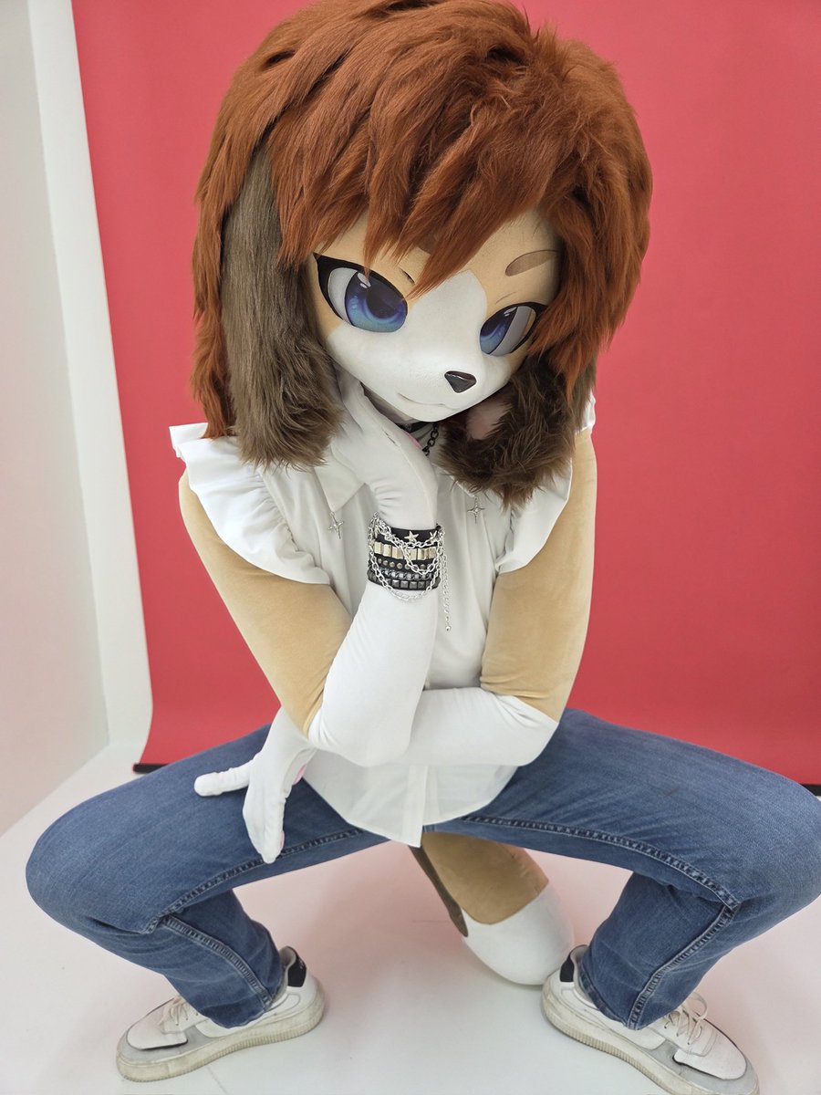 비블리오 tweet media