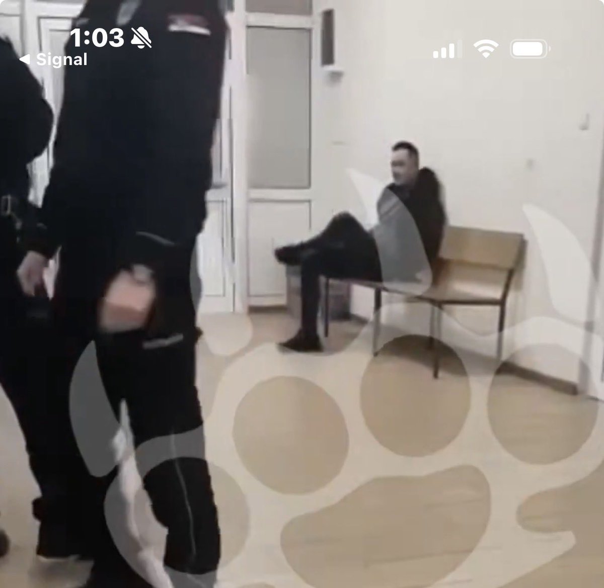 BezStraga tweet media