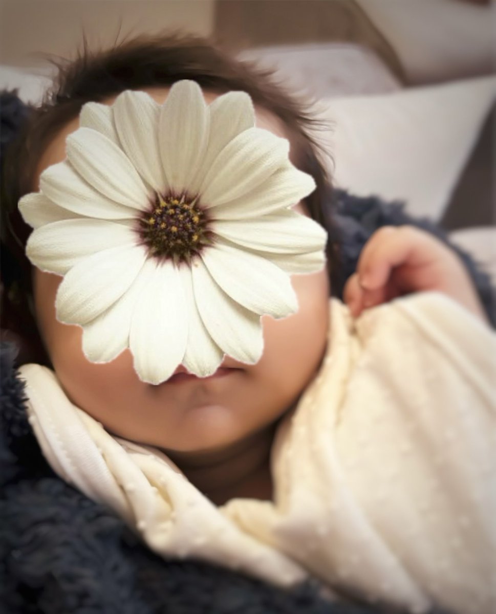 🤍🦌 tweet media