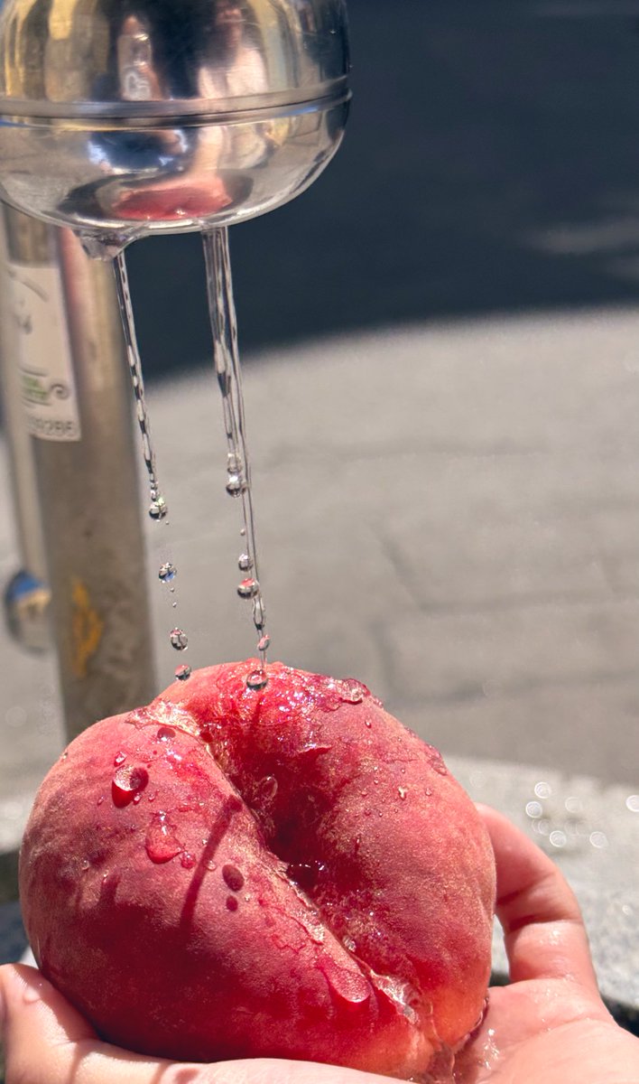 와들디 tweet media