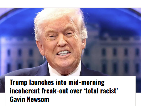 Brown Eyed Susan tweet media